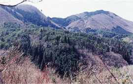 念願の【聖地山開き大法要】（大應山入山式）が挙行される。